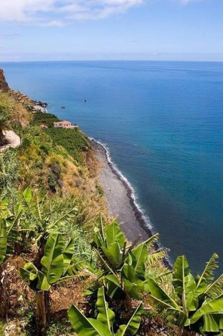 Chalet Tropical Arco da Calheta  Eksteriør billede